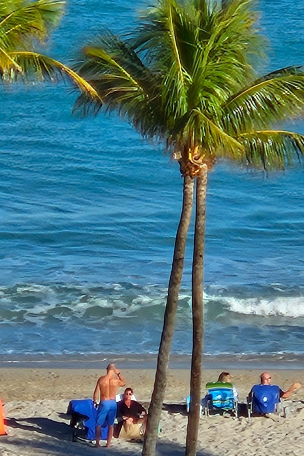 Cruise Brothers Travel Agent Mitchell Kent